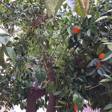 Appartamento B&B Domus Pompei Scafati Exterior foto