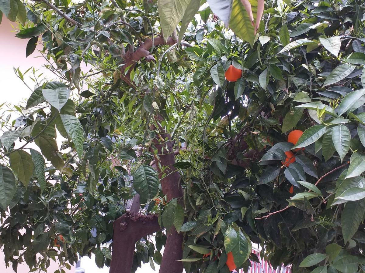 Appartamento B&B Domus Pompei Scafati Exterior foto
